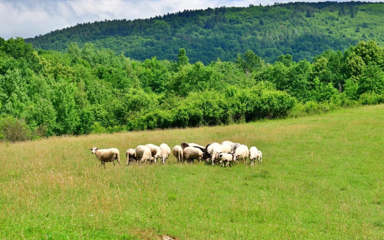 Natura Hause Rakovica Exterior photo